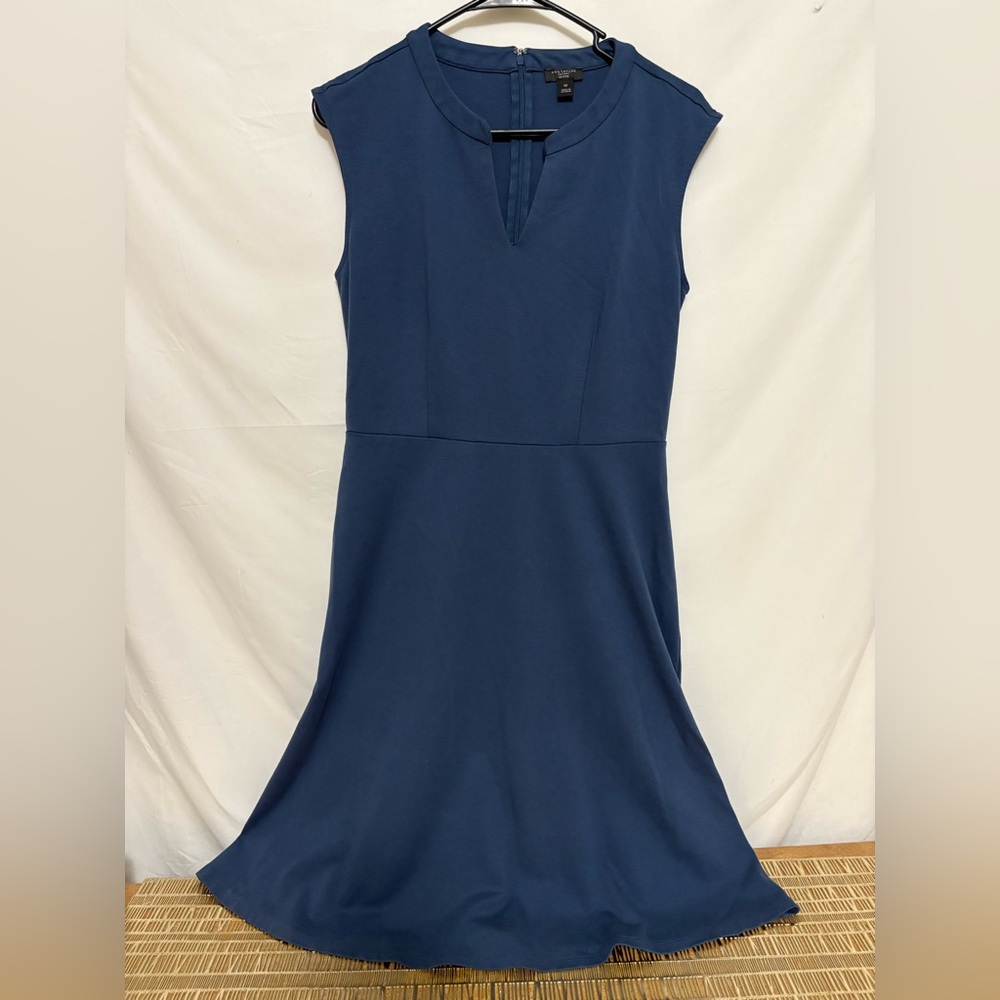 Ann Taylor Navy Blue Fit and‎ Flare Dress Size 10P